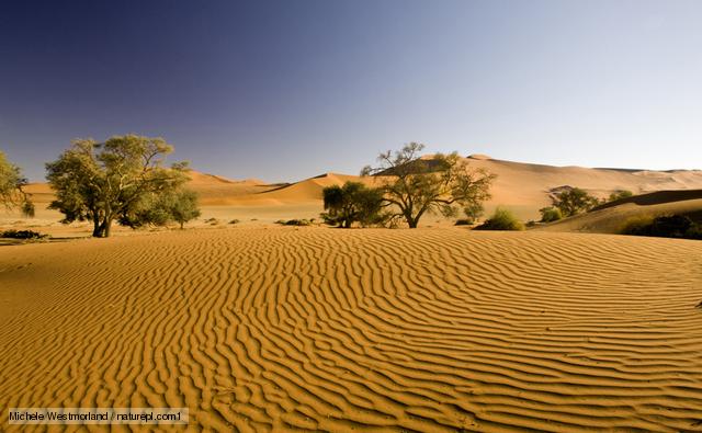 Sandy Deserts 